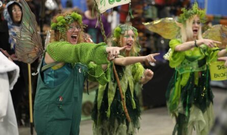 Vermont Renaissance Faire 2026 in Essex Junction, VT Dates, Jousting, Medieval Entertainment, and What to Expect