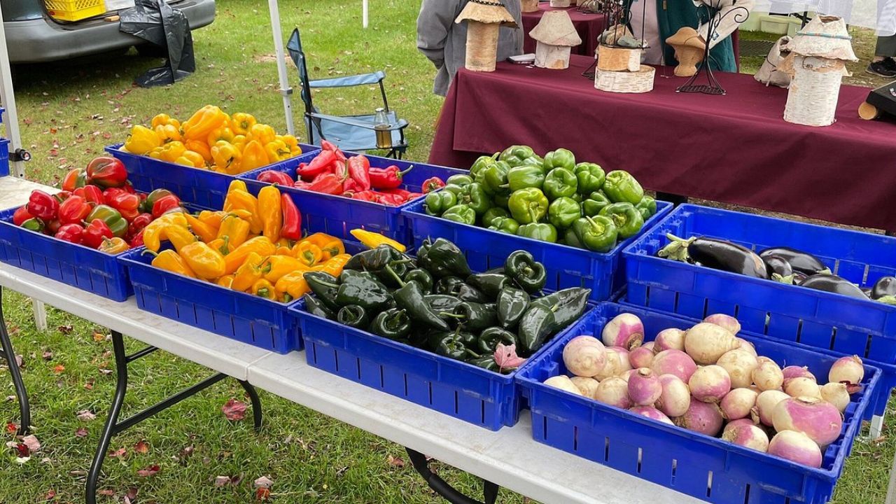 West River Outdoor Farmers Market 2026 in Londonderry, VT Dates, Local Produce, Artisan Crafts, and What to Expect