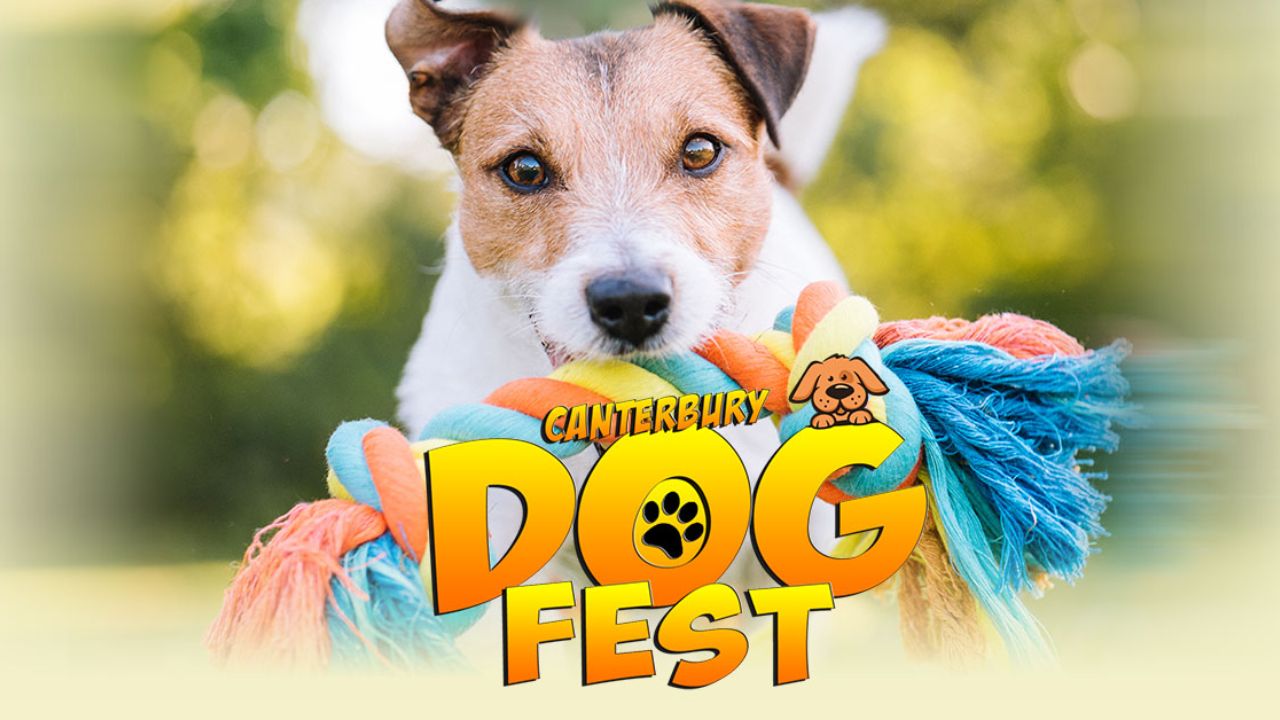 Canterbury Dog Fest 2026 in Canterbury, MI Dates, Venue, Vendors, Live Entertainment, and What to Expect
