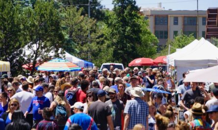 Flagstaff Midsummer Flea Market 2026 in Flagstaff, AZ Date, Location, Shopping, and Event Details