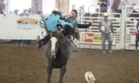 Jefferson County Fair and Rodeo 2026 in Madras, OR Dates, Rodeo Schedule, Attractions, and Visitor Guide