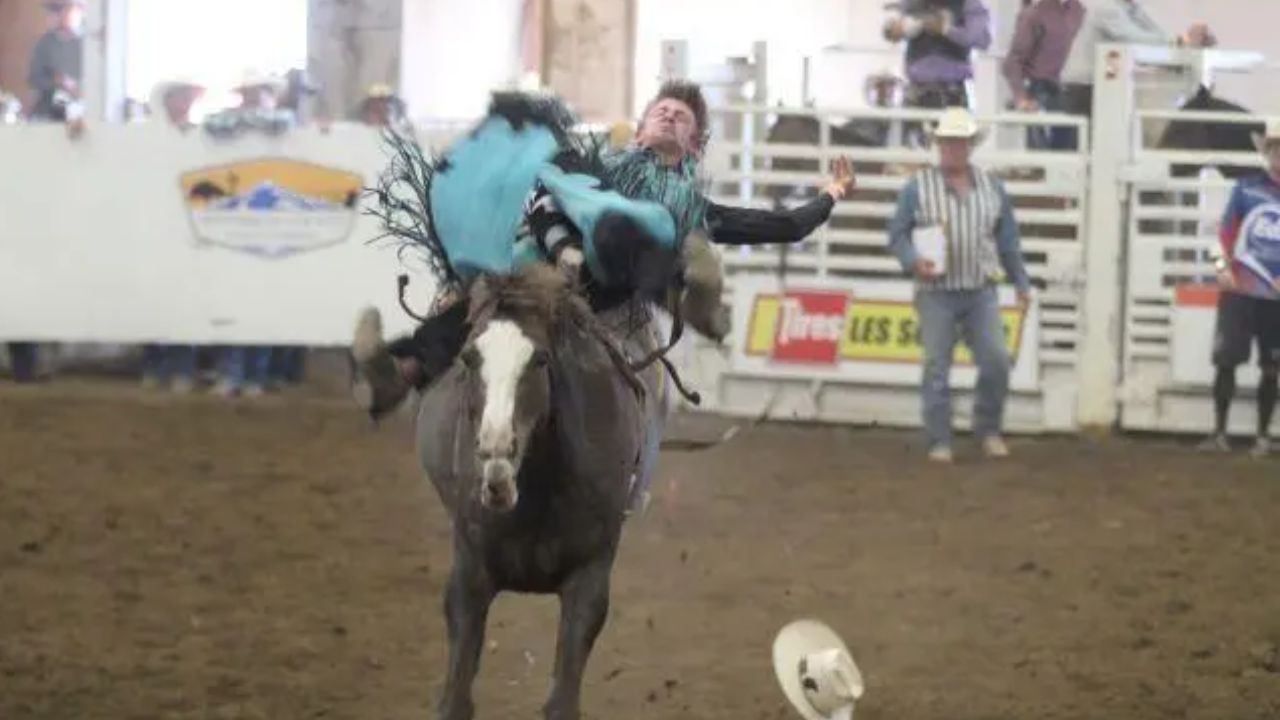 Jefferson County Fair and Rodeo 2026 in Madras, OR Dates, Rodeo Schedule, Attractions, and Visitor Guide