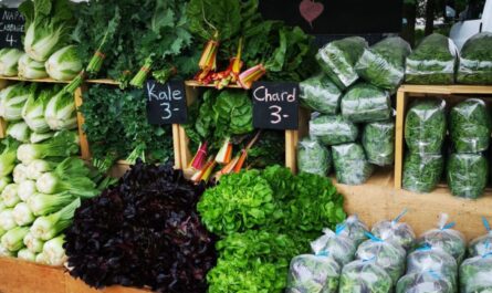 Lake Saint Louis Open-air Farmers and Artists Market 2026 in Lake Saint Louis, MO Date, Location, Vendors, and What to Expect