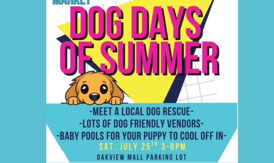 Omaha Dog Days of Summer Makers Market 2026: Date, Location, Vendors, and What to Expect