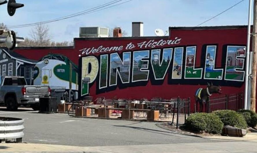 Pineville Midsummer First Fridays 2026 in Pineville, NC: Date, Location, Local Vendors, Live Music, and Event Details
