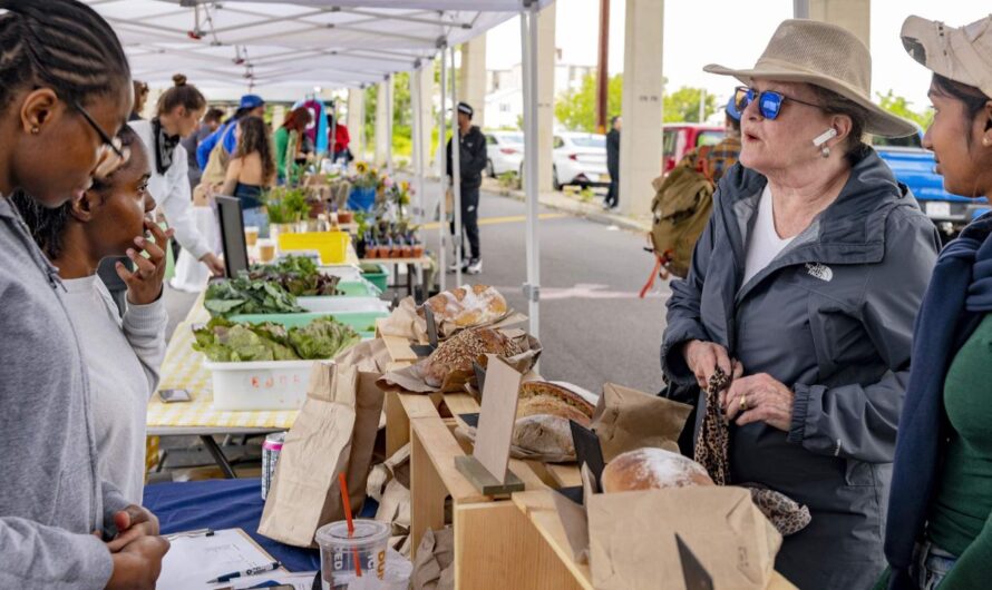 Rockaway Beach Open-Air Farmers and Artisans Market 2026 in Rockaway Beach, OR: Date, Location, Free Admission, and What to Expect