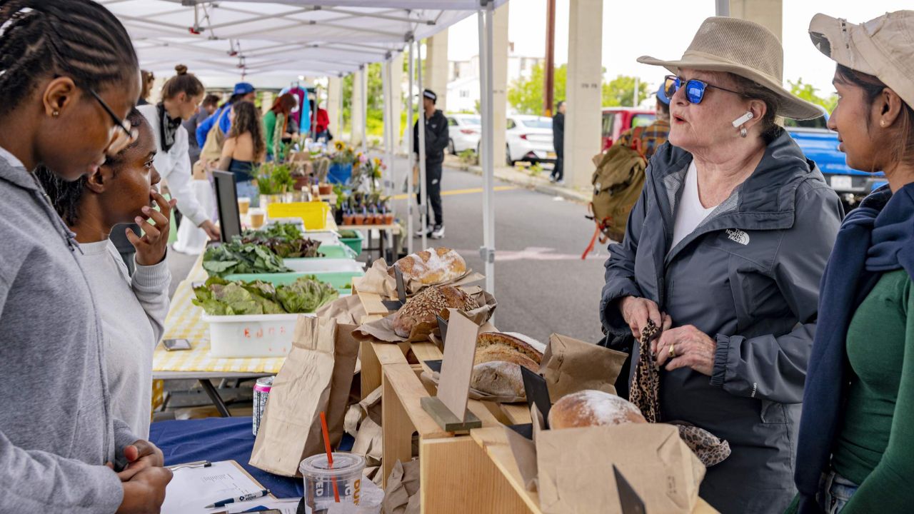 Rockaway Beach Open-Air Farmers and Artisans Market 2026 in Rockaway Beach, OR Date, Location, Free Admission, and What to Expect