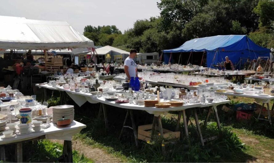 Rutledge Summer Flea Market 2026 in Rutledge, MO: Dates, Location, Shopping, and What to Expect