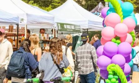 SouthPark Second Saturdays Pop Up Market 2026 in Charlotte, NC Date, Location and Shopping Highlights