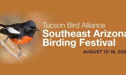Southeast Arizona Birding Festival 2026 in Tucson, AZ: Dates, Venue, Guided Field Trips, and Event Details