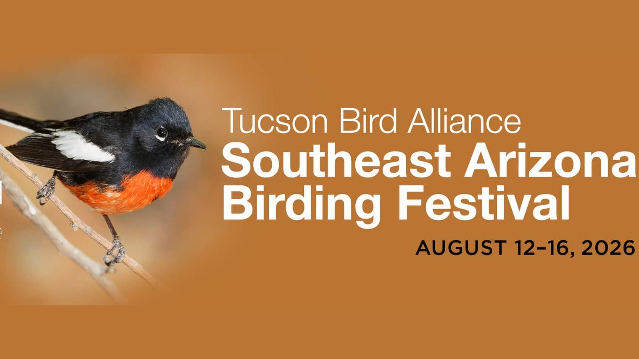 Southeast Arizona Birding Festival 2026 in Tucson, AZ: Dates, Venue, Guided Field Trips, and Event Details