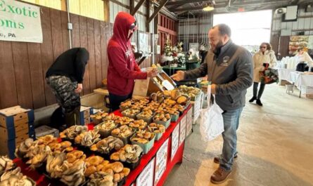 Burlington City End of Summer Outdoor Market 2026 in Burlington, NJ Date, Venue, Vendors, Live Music, and Family Activities