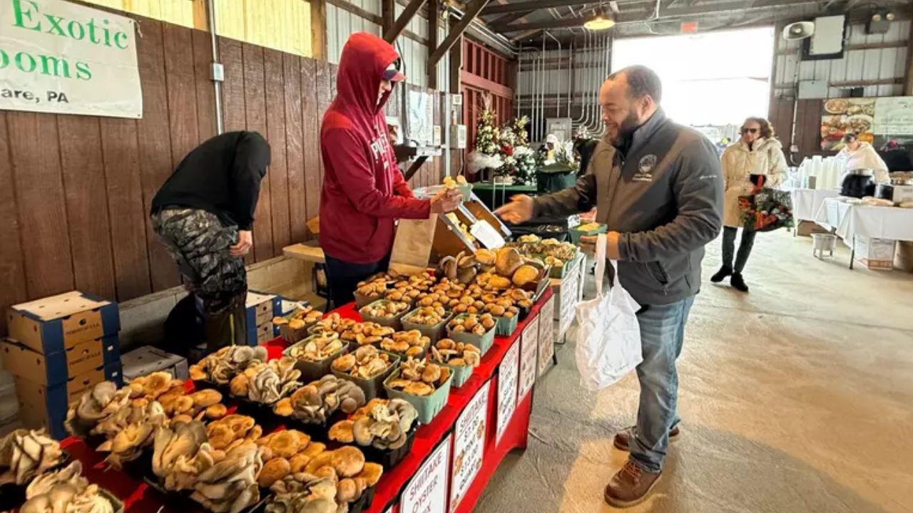 Burlington City End of Summer Outdoor Market 2026 in Burlington, NJ Date, Venue, Vendors, Live Music, and Family Activities