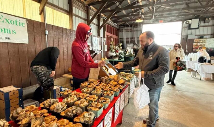 Burlington City Midsummer Outdoor Market 2026 in Burlington, NJ: Date, Location, Food Trucks, and Event Details