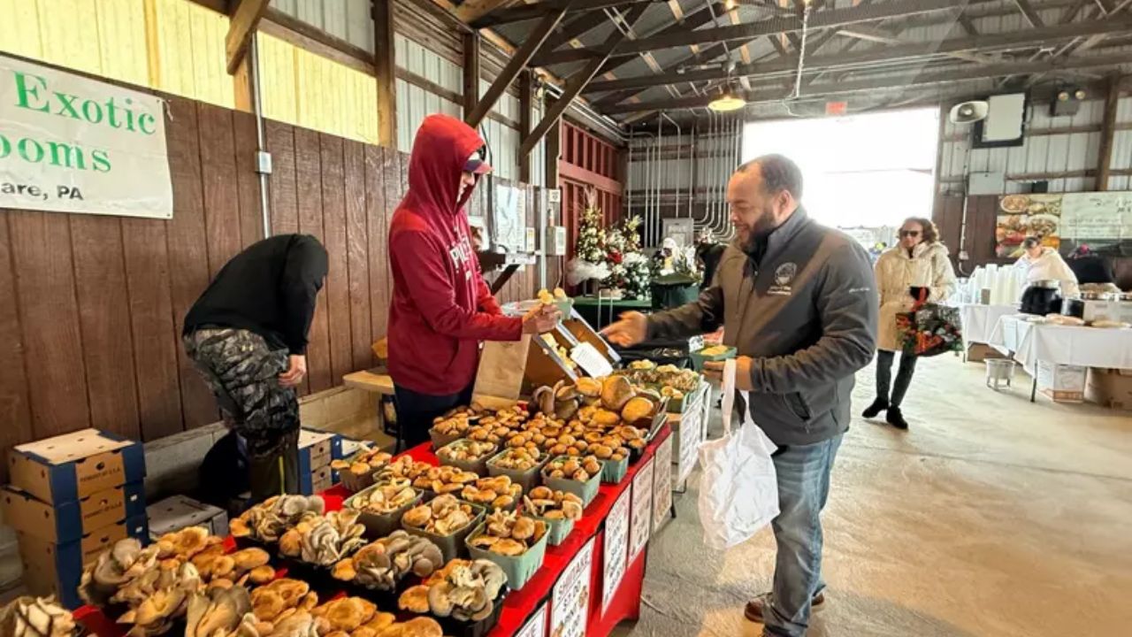 Burlington City Midsummer Outdoor Market 2026 in Burlington, NJ Date, Location, Food Trucks, and Event Details