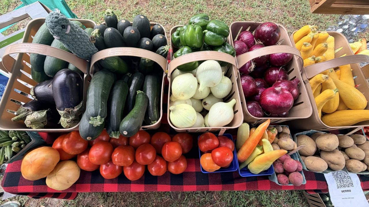 Delmar Midsummer Farmers and Artisans Market 2026 in Delmar, DE Date, Location, Local Produce, and Event Details