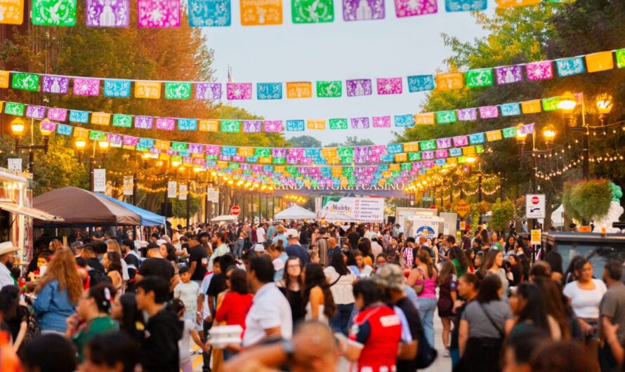 Elgin Craft Fest 2026 in Elgin, IL: Dates, Venue, Handmade Crafts, Vendors, and Event Highlights