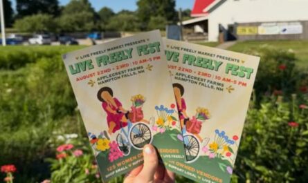Hampton Live Freely Fest 2026 in Hampton, NH Date, Location, Women-Owned Businesses, Live Music, and Event Details