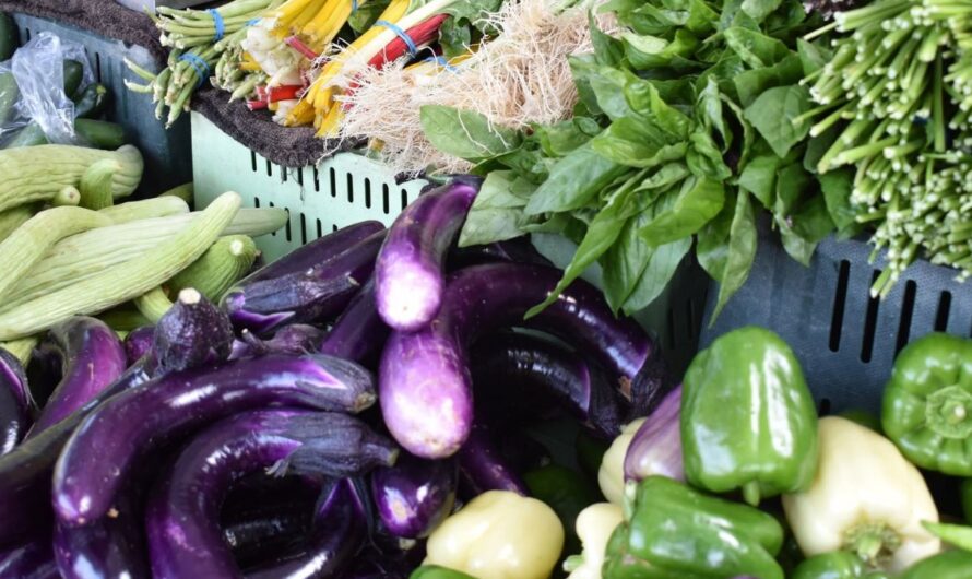 Kerman Midsummer Farmers Market 2026 in Kerman, CA: Date, Location, Local Produce, Artisan Vendors, and Event Details