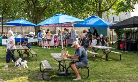 Lemont Market in the Park 2026 in Lemont, IL Date, Location, Local Vendors, Live Music, and Event Details