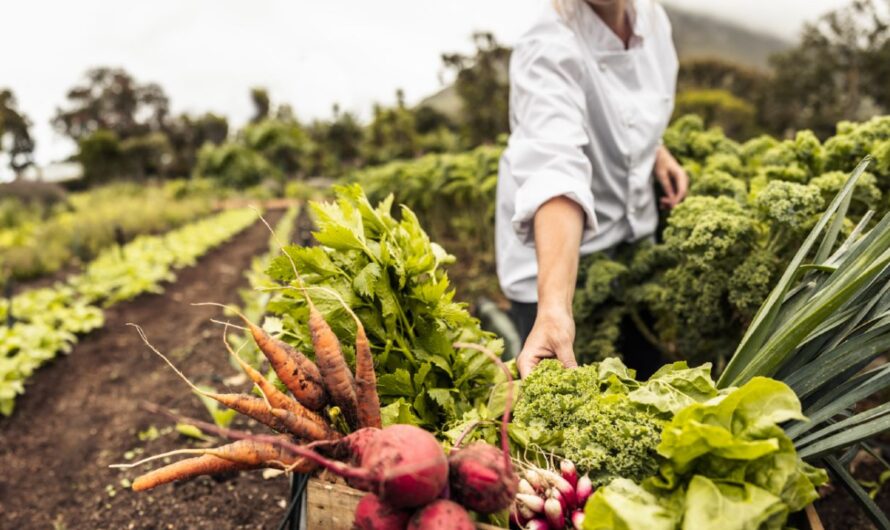Montgomery County 2nd Friday Farmers Market 2026 in Red Oak, IA: Date, Location, Fresh Produce, and Event Details