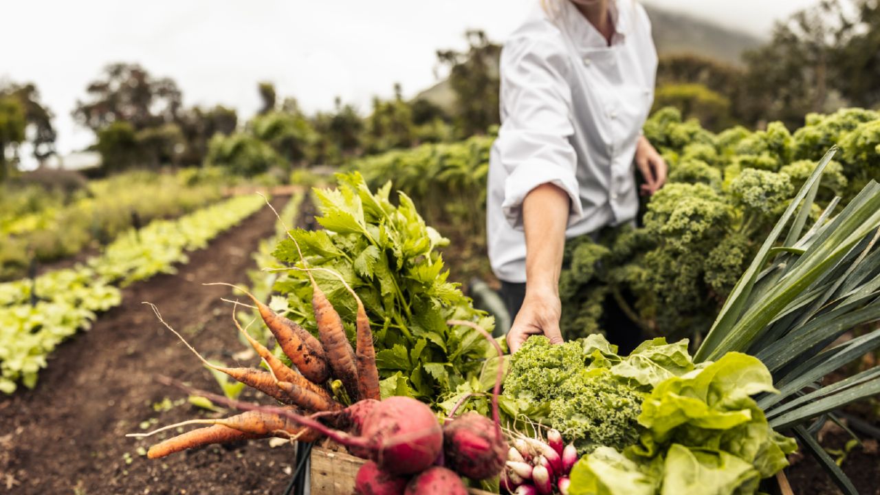 Montgomery County 2nd Friday Farmers Market 2026 in Red Oak, IA Date, Location, Fresh Produce, and Event Details