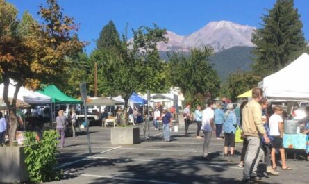 Mount Shasta 3rd Monday Farmers Market 2026 in Mount Shasta, CA Date, Location, Fresh Produce, and Event Details