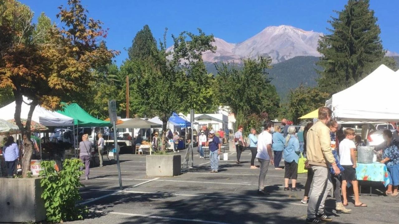 Mount Shasta 3rd Monday Farmers Market 2026 in Mount Shasta, CA Date, Location, Fresh Produce, and Event Details