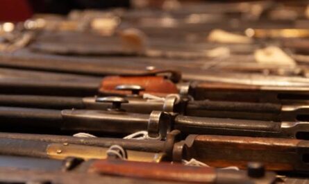 Old North State Summer Antique Gun and Military Antiques Show 2026 in Raleigh, NC Dates, Venue, Antique Collectibles, and Event Details