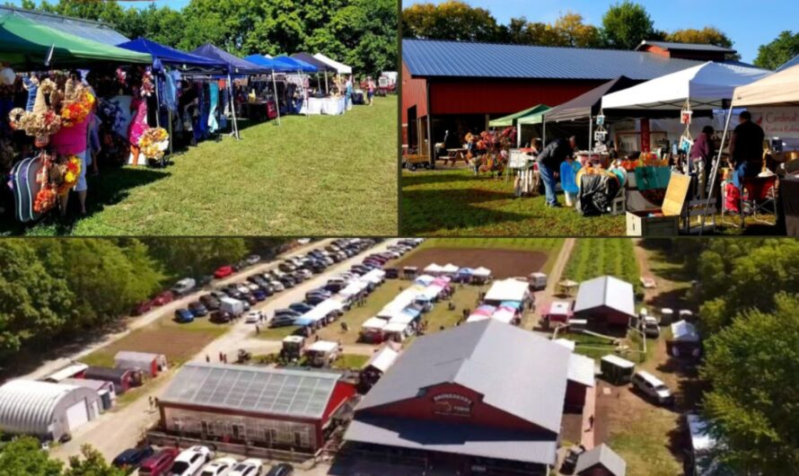 Plainfield Craft and Vendor Fair 2026 in Plainfield, IL: Date, Location, Handmade Crafts, Local Vendors, and Event Details