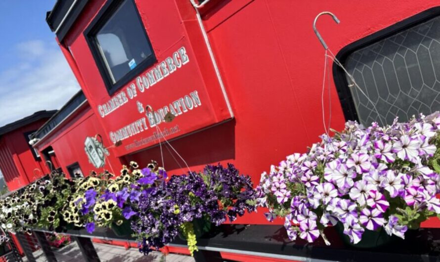 Rockaway Beach Thursday Farmers and Artisans Market 2026 in Rockaway Beach, OR: Date, Location, and Event Details