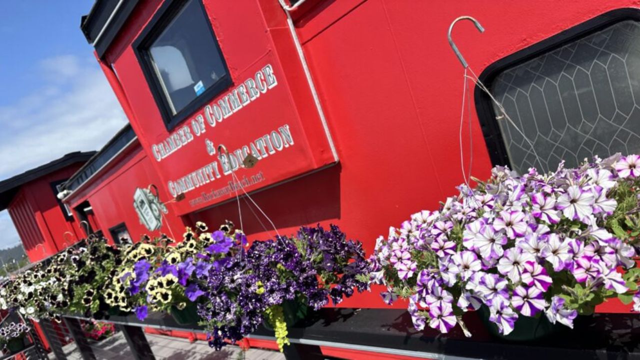 Rockaway Beach Thursday Farmers and Artisans Market 2026 in Rockaway Beach, OR: Date, Location, and Event Details