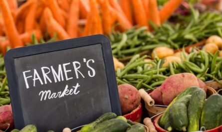 South Toms River End of Summer Farmers Market 2026 in Toms River, NJ Date, Location, Fresh Produce, and Market Details