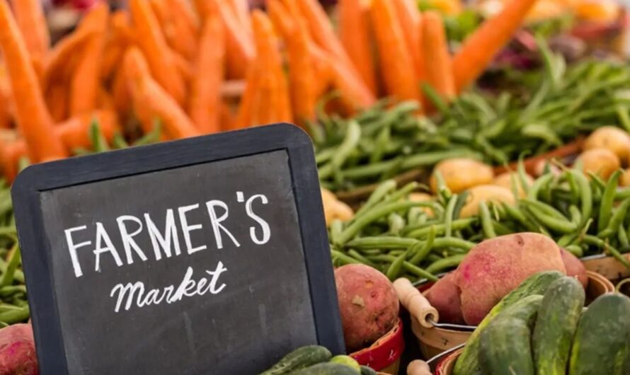 South Toms River Summer Outdoor Farmers Market 2026 in Toms River, NJ: Date, Location, Fresh Produce, and Event Details