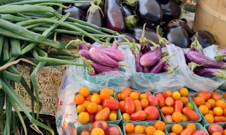 Speculator Summer Outdoor Farmers and Crafters Market 2026 in Speculator, NY: Date, Location, Local Vendors, and Event Details
