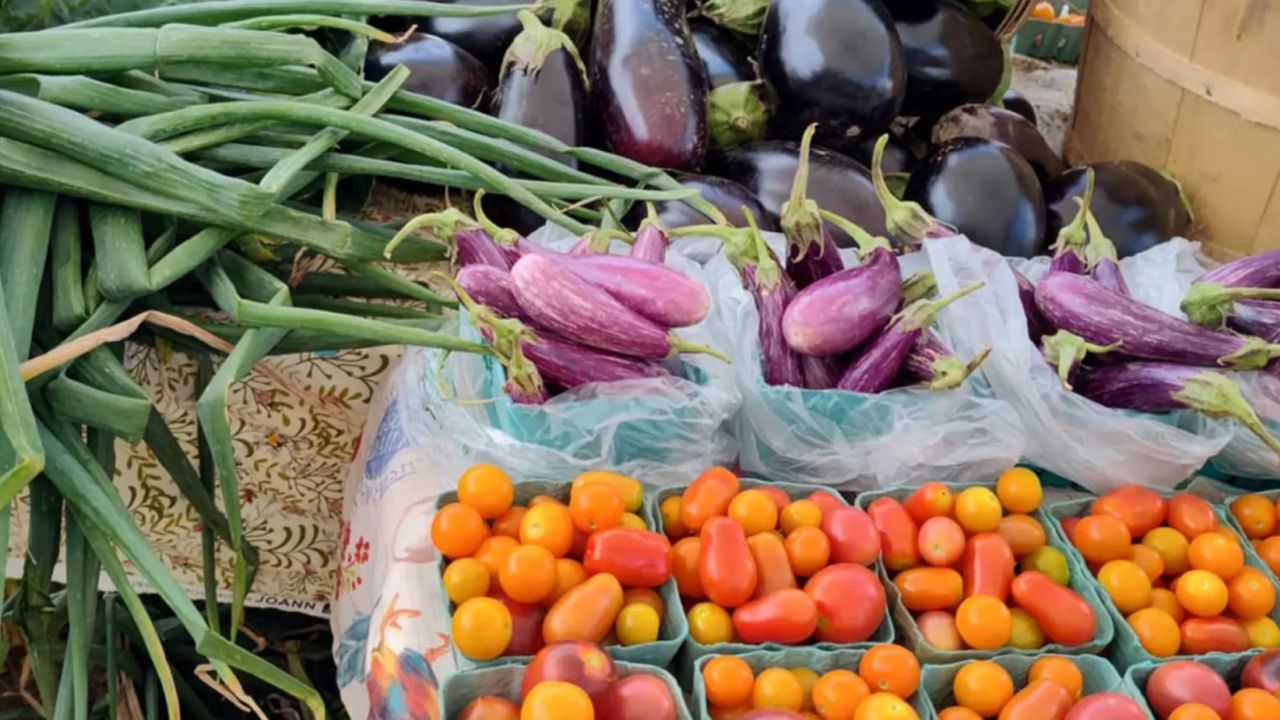 Speculator Summer Outdoor Farmers and Crafters Market 2026 in Speculator, NY Date, Location, Local Vendors, and Event Details
