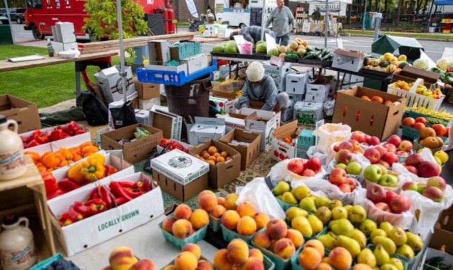 Watertown Wednesday Outdoor Farm and Craft Market 2026 in Watertown, NY: Date, Location, Fresh Produce, and Event Details