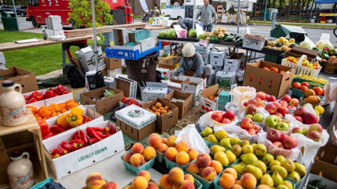 Watertown Wednesday Outdoor Farm and Craft Market 2026 in Watertown, NY Date, Location, Fresh Produce, and Event Details