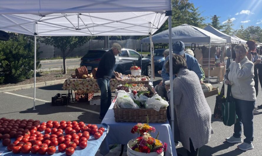 Williamstown 4th Saturday Farmers Market 2026 in Williamstown, MA: Date, Location, Vendors, and Local Products