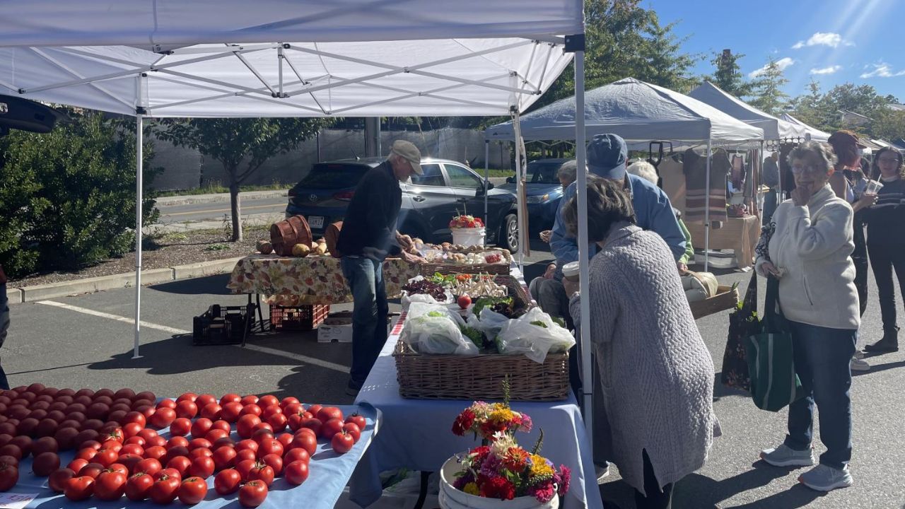 Williamstown 4th Saturday Farmers Market 2026 in Williamstown, MA Date, Location, Vendors, and Local Products