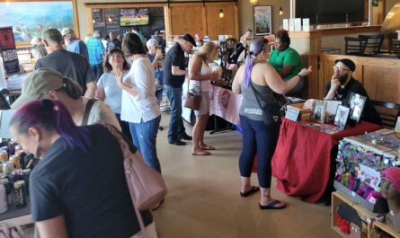 Willow Springs Metal, Magic and Mystery Market 2026 in Willow Springs, IL Date, Location, Vintage Finds, and Event Details