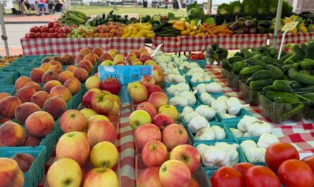 Yorktown National Farmers Market 2026 in Yorktown, VA Date, Location, Local Vendors, Fresh Produce, and Event Details