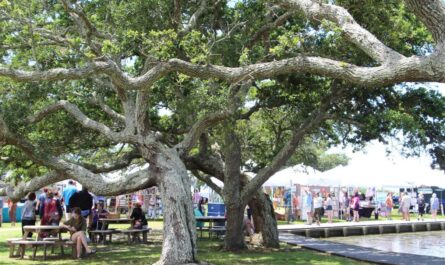 Art Under the Oaks Fine Art Festival 2026 in Saint Simons Island, GA Dates, Venue, Artists, and What to Expect