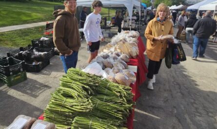 Batavia Fall Artisan Collective Market 2026 in Batavia, IL Date, Location, Handmade Goods, and Event Details