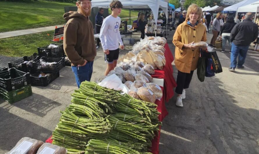 Batavia Fall Artisan Collective Market 2026 in Batavia, IL: Date, Location, Handmade Goods, and Event Details