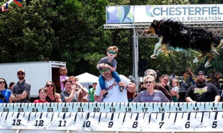 Chesterfield Outdoor Fest 2026 in Chesterfield, VA Date, Location, Activities, Food Trucks, and Event Details
