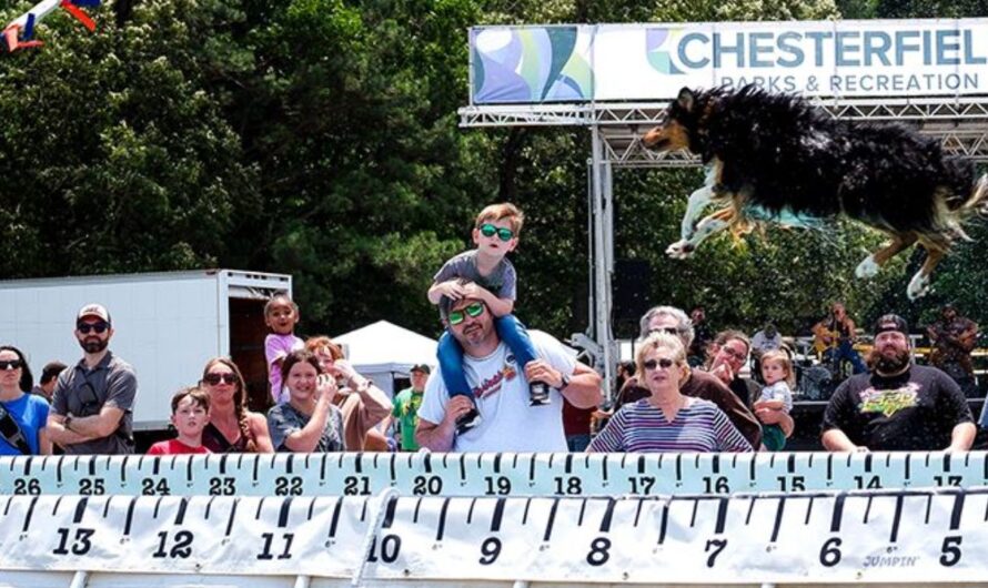 Chesterfield Outdoor Fest 2026 in Chesterfield, VA: Date, Location, Activities, Food Trucks, and Event Details