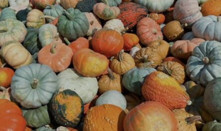 Cincinnati Fall Artisan Fest 2026 in Cincinnati, OH Date, Location, Local Artisans, Shopping, and Event Details