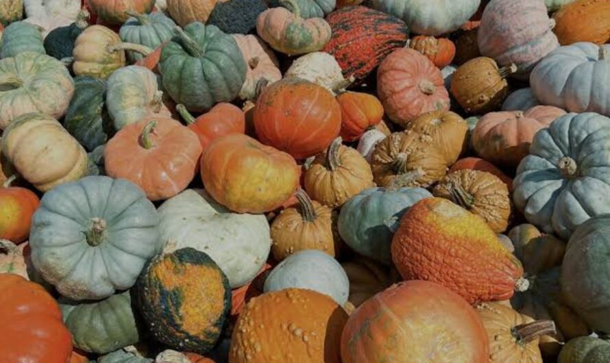 Cincinnati Fall Artisan Fest 2026 in Cincinnati, OH: Date, Location, Local Artisans, Shopping, and Event Details
