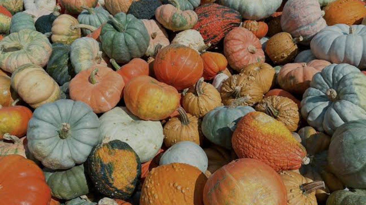 Cincinnati Fall Artisan Fest 2026 in Cincinnati, OH Date, Location, Local Artisans, Shopping, and Event Details